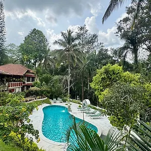 Tranquil - Blusalzz Collection, Wayanad - Kerala Ambalavayal